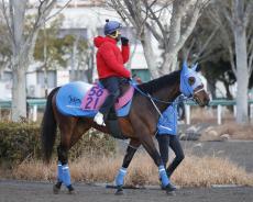 日曜中山競馬場の注目激走馬…中山１１Ｒフェアリーステークス・Ｇ３