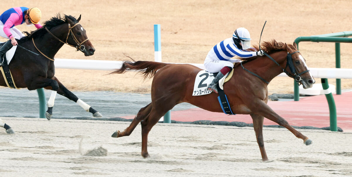 【中京５Ｒ・３歳新馬】ナンヨーパワフルが若さ見せながらも圧勝　鮫島克駿騎手「落馬寸前のアクシデントもあり…」