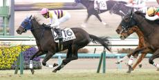 【中山５Ｒ・３歳未勝利】ニシノエピカリがデビュー４戦目で初勝利　伯母は牝馬３冠のアパパネ