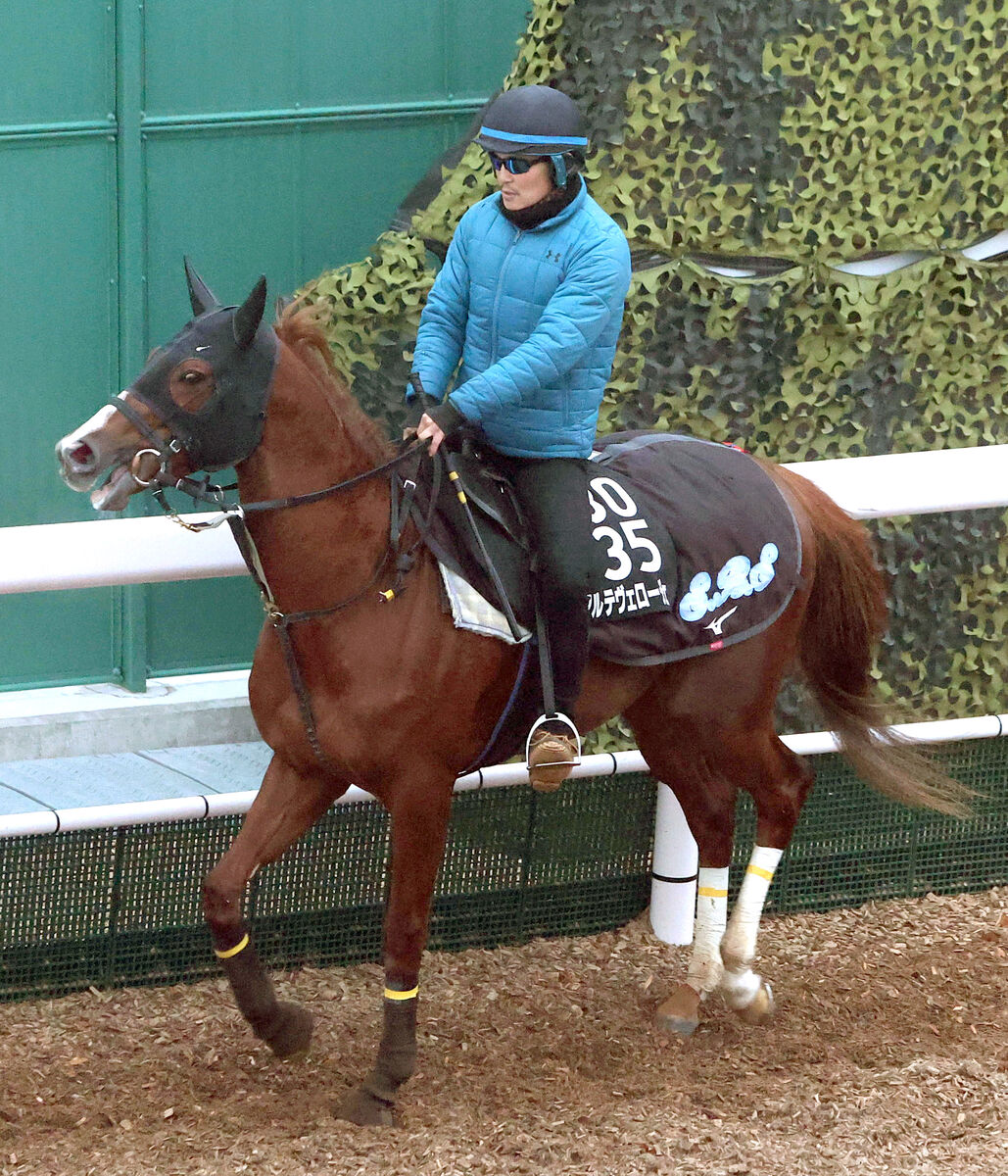 【シンザン記念】１番人気アルテヴェローチェの強力ライバルは？　１戦１勝馬が注目集めて３番人気　前日最終オッズ