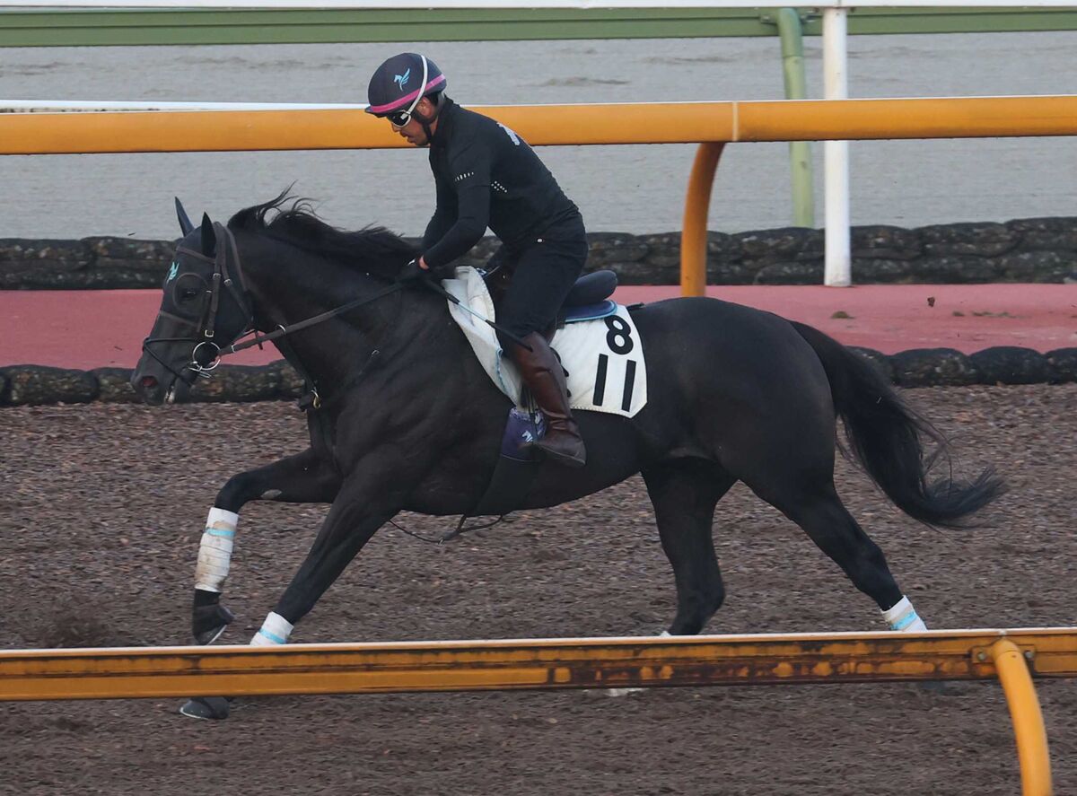 月曜中山競馬場の注目激走馬…中山１１Ｒニューイヤーステークス（Ｌ）