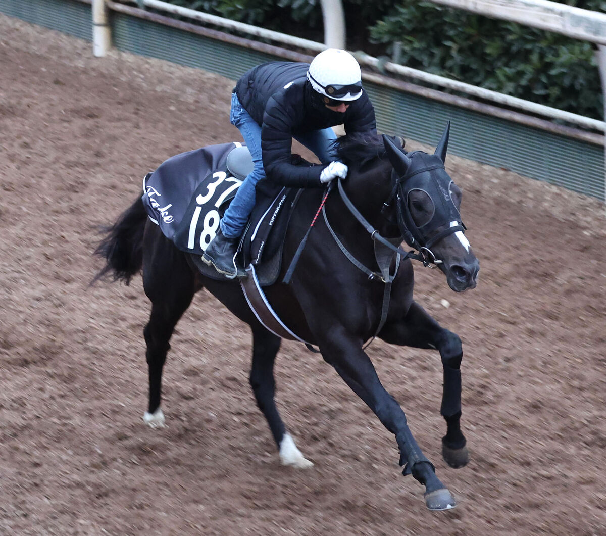 月曜中京競馬場の注目激走馬…中京１１Ｒシンザン記念・Ｇ３