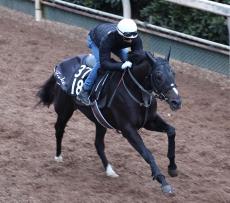 月曜中京競馬場の注目激走馬…中京１１Ｒシンザン記念・Ｇ３