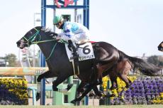 【中山７Ｒ・３歳１勝クラス】モジャーリオが芝替わりで切れ味発揮　菅原明良騎手「いい脚を使ってくれた」