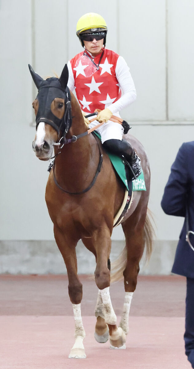 【シンザン記念】１番人気アルテヴェローチェは２馬身半差２着　川田将雅騎手「勝った馬がすごく強かったです」