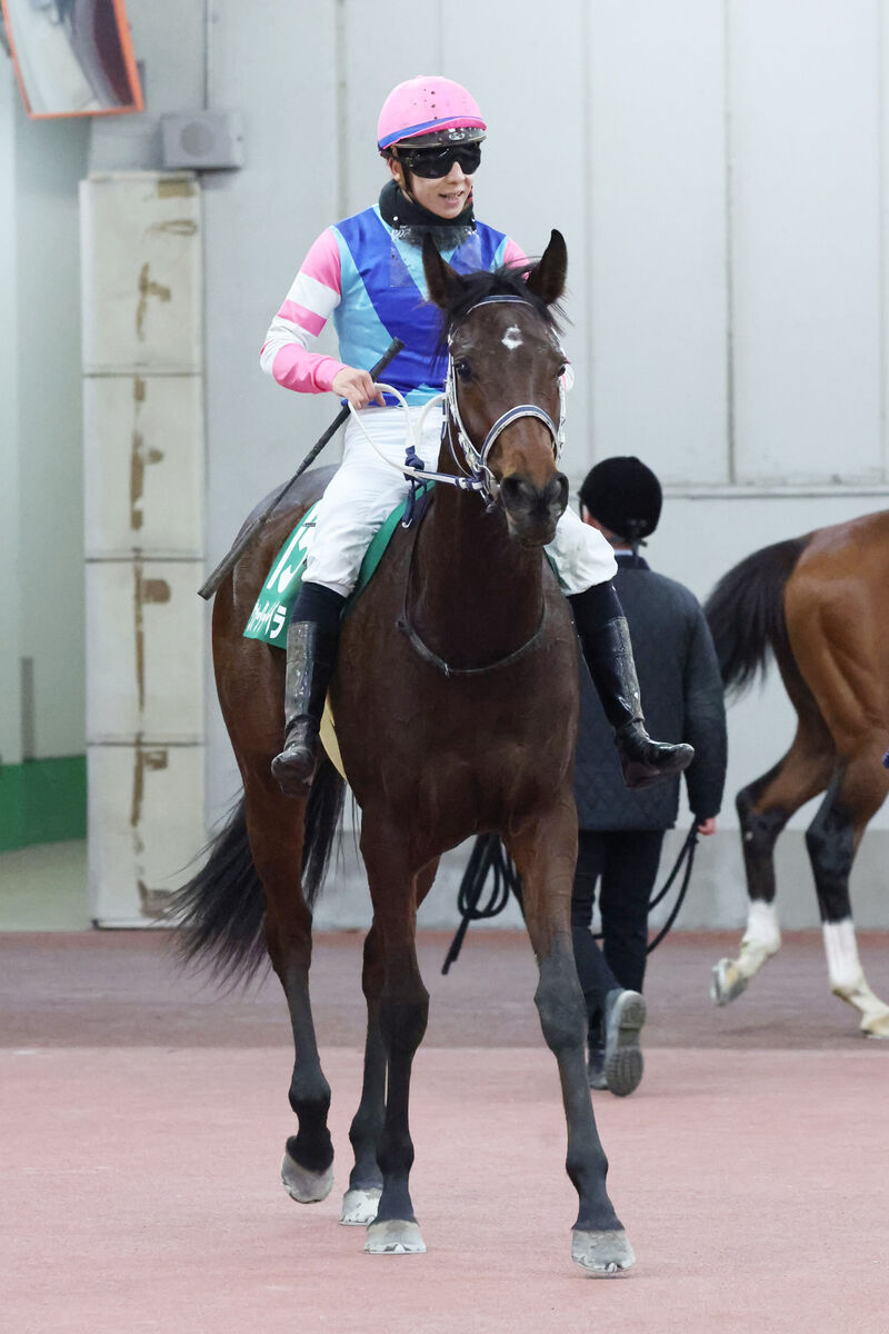 【シンザン記念】１４番人気ウォーターガーベラが末脚伸ばし３着激走　団野大成騎手「これからも楽しみ」