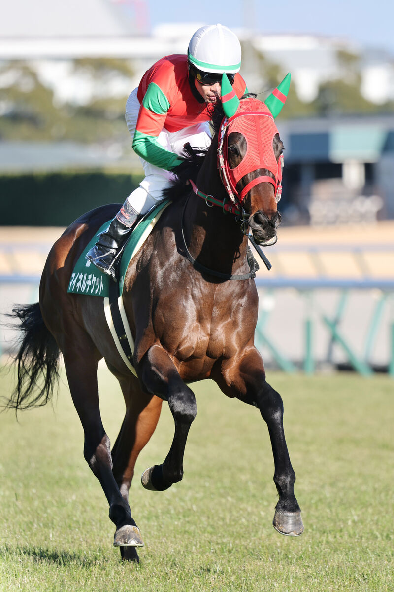 【シンザン記念】マイネルチケットは４着で初の馬券圏外　戸崎圭太騎手は「折り合い」を指摘