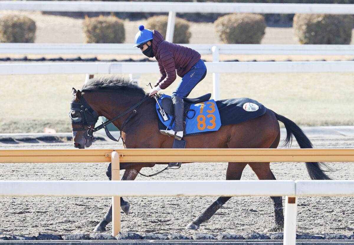 【日経新春杯・西山の特注馬】バトルボーンは手術明けでも仕上がり良好　キャリア８戦で７連対