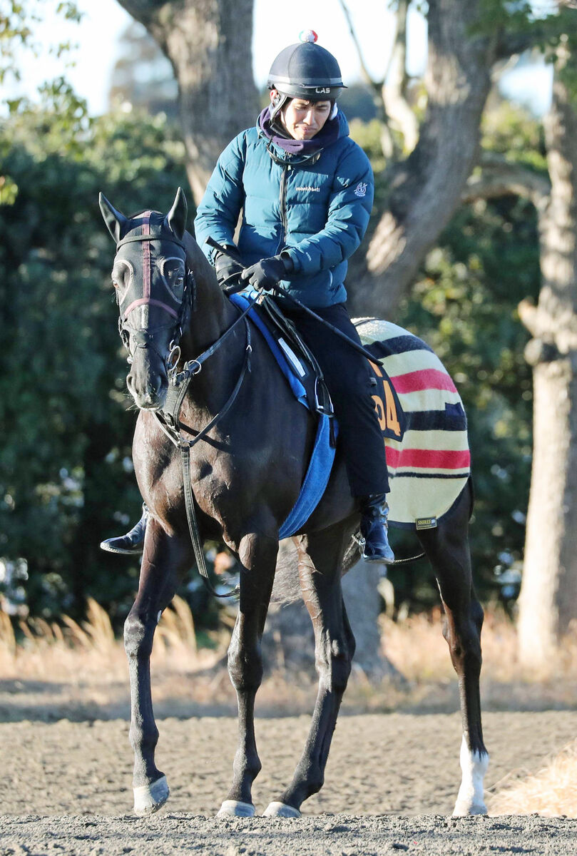 【京成杯・坂本の特注馬】秘める素質はピカイチのガルダイア　課題克服へ陣営が手を尽くす