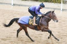 【京成杯】ルメール騎手とコンビ組む３億１０００万円馬　クラシック登竜門勝って田中博康厩舎の新エース襲名だ