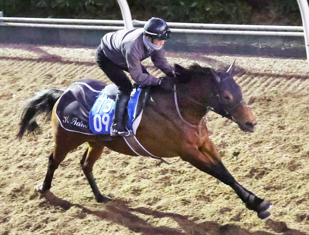 【日経新春杯】昨秋オープン入りした５歳牡馬が実績馬の壁を突き破る　武幸四郎調教師「いい動き」