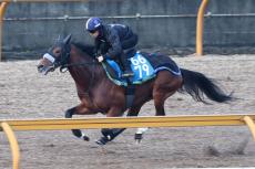 【日経新春杯】ヴェローチェエラが４連勝で重賞制覇を狙う　陣営「食べたものが実になっている」