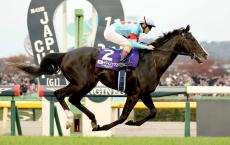 白老ファームでイクイノックス産駒の牝馬が誕生　母ラフォルスは米Ｇ２勝ち馬