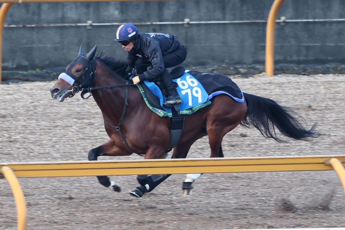 【日経新春杯・ヤマタケの特注馬】「この中間の競馬で…」須貝調教師の願いに感じたヴェローチェエラの非凡な能力