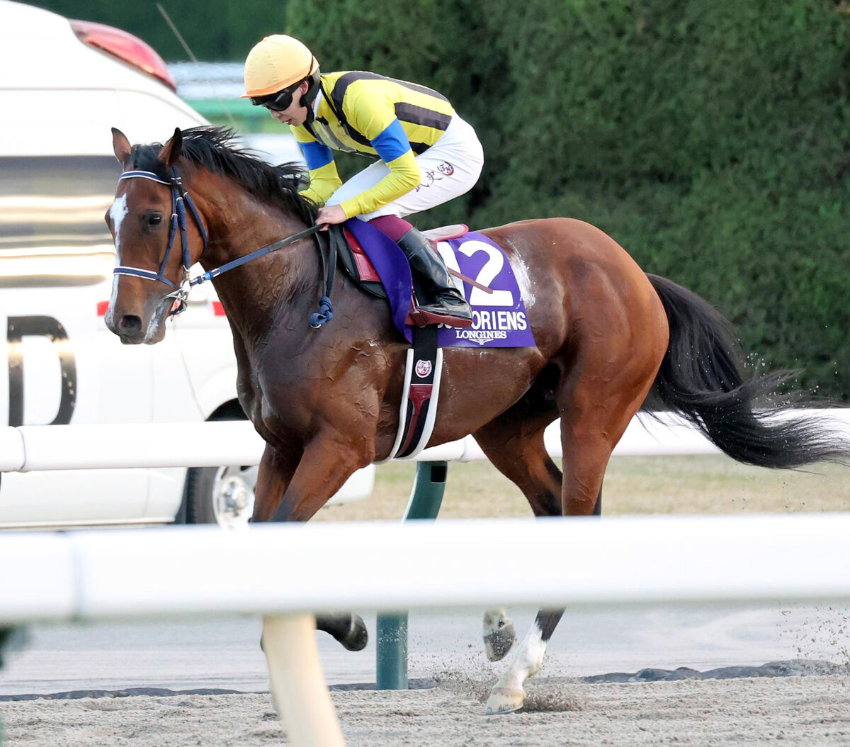 【注目馬動向】ジャパンＣ１４着から巻き返しを狙うソールオリエンスが始動戦として京都記念を視野