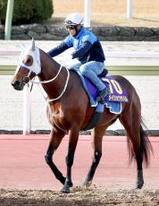 【日経新春杯】過去１０年で４歳馬が６勝　菊花賞１６着から巻き返しを狙う重賞２勝馬が折り合い改善で能力発揮だ