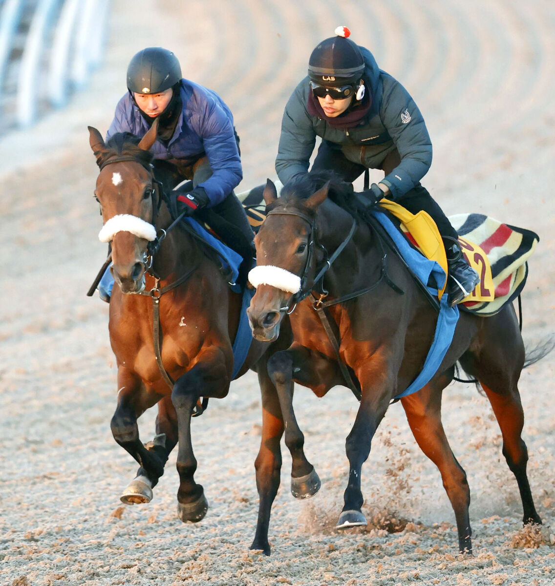 【ＰＯＧ】超良血馬アロンズロッドが初勝利を目指して上々の追い切り　国枝調教師「１０点満点の…」