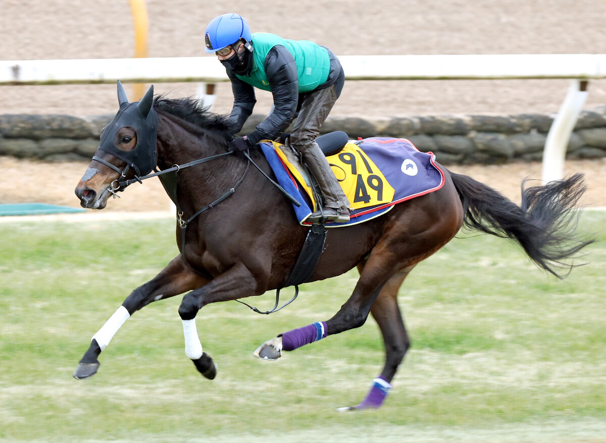 【日経新春杯】エリザベス女王杯３着のホールネスに藤原調教師「絶好調」１５年ぶりの牝馬Ｖへ態勢整った