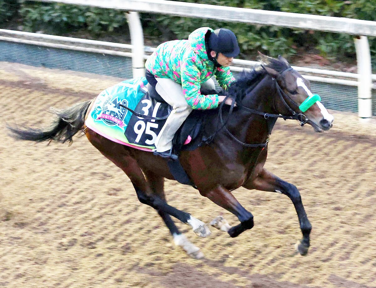 【京成杯】絶好調杉山晴師２週連続重賞Ｖだ　ゲルチュタール軽快