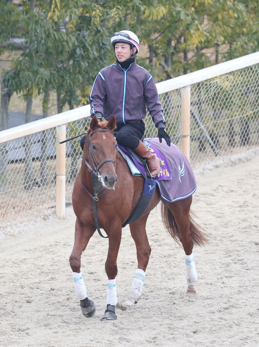 【アメリカＪＣＣ】ダービー馬ダノンデサイルと戸崎圭太が初コンタクト　「全部のレベルが高い」