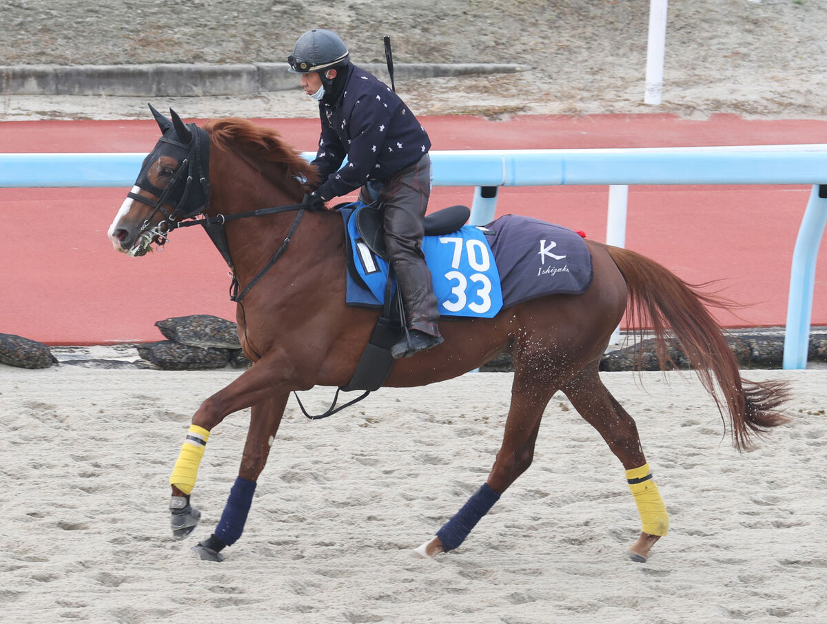 【日経新春杯】昨年の日本ダービー４着馬が８か月ぶり復帰戦へ坂路追い　陣営好感触もハンデに慎重