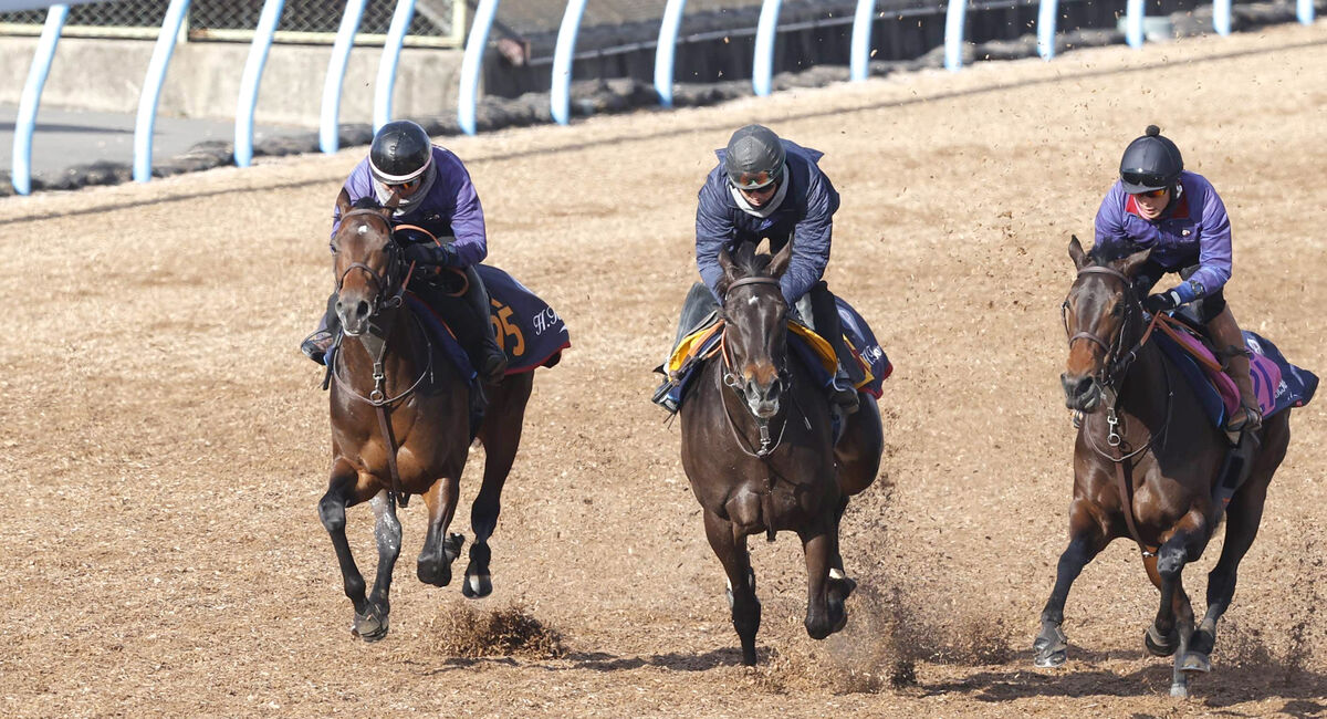 【京成杯】キングノジョーは３頭併せで遅れも　田中博康調教師は「相変わらず心肺機能の高さを見せている」