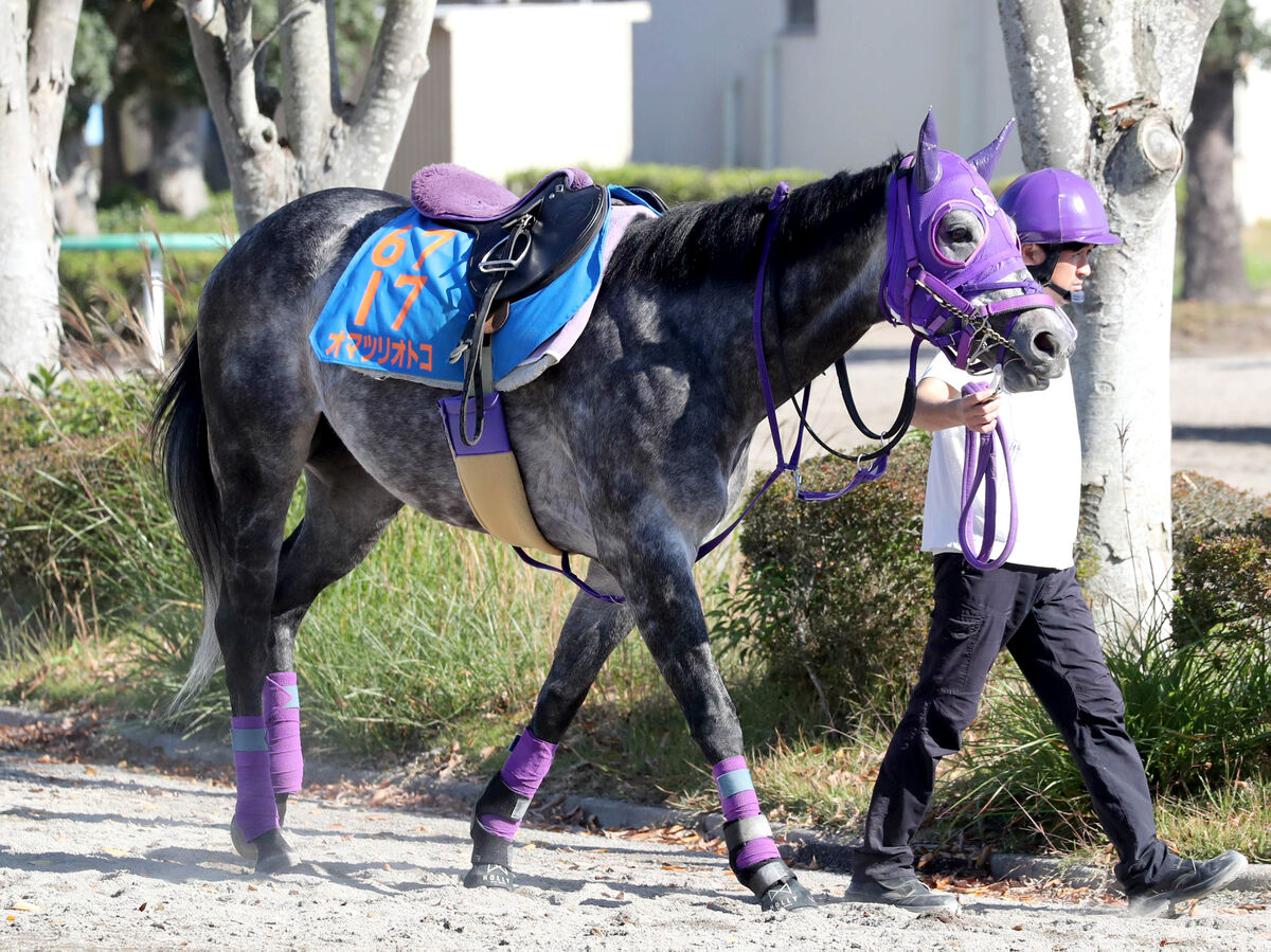 オマツリオトコが競走馬登録を抹消し園田移籍へ　２２年兵庫ジュニアＧＰ優勝