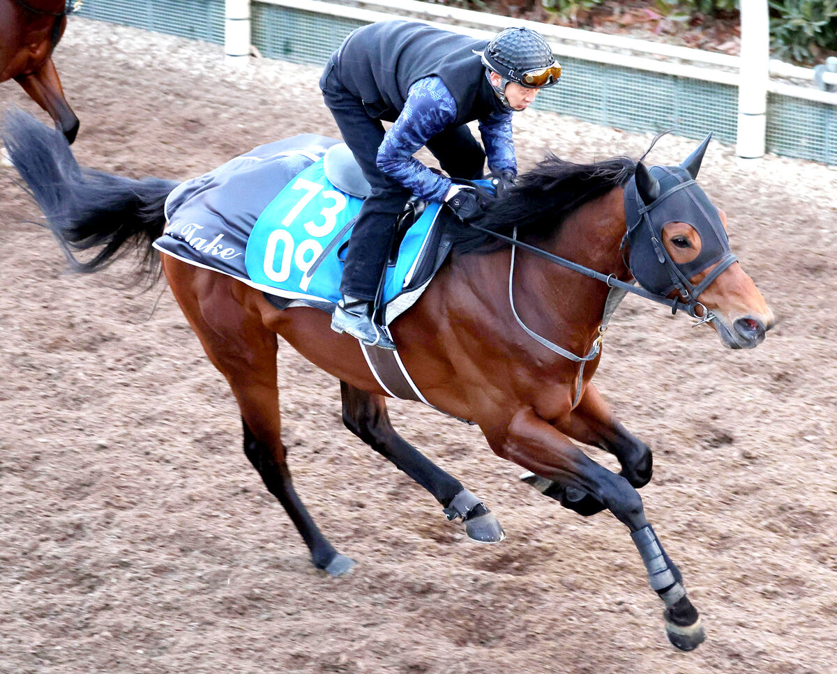 【日経新春杯】キャリア４戦の５歳馬陣営「先週より動きにメリハリがあった」　武豊騎手と再コンビで重賞初制覇へ