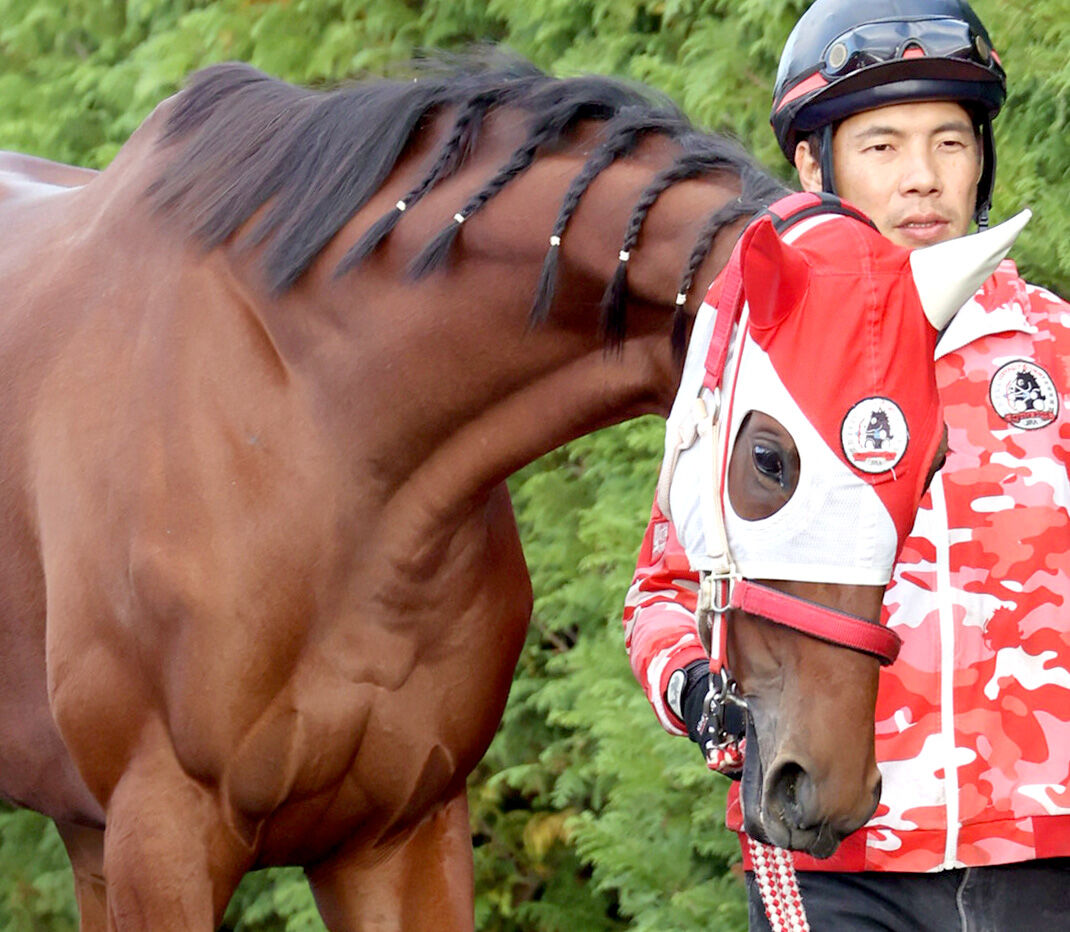 【注目馬動向】ラヴェルは優先出走権あるネオムターフＣを辞退　金鯱賞から大阪杯の国内路線で初Ｇ１狙う