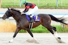 【注目馬動向】ディクテオンが地方に移籍　２３年の浦和記念など交流重賞３勝