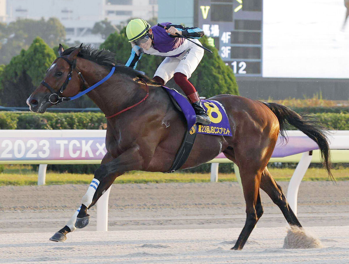 兵庫競馬のイグナイターが今年も海外遠征　リヤドダートスプリントへの招待を受諾　野田オーナーがＸで発表