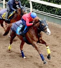 【日経新春杯】昨年のダービー４着馬が復帰初戦で重賞初制覇へ納得仕上げ　「いい形でレースに臨める」池添謙一騎手も好感触