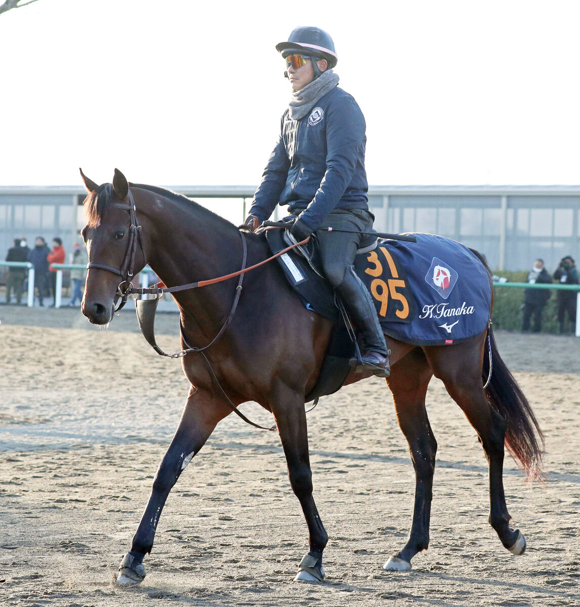 【京成杯】ジャスティンパレスの半弟キングノジョーは６枠９番　前走圧勝のパーティハーンは８枠１４番　枠順決定