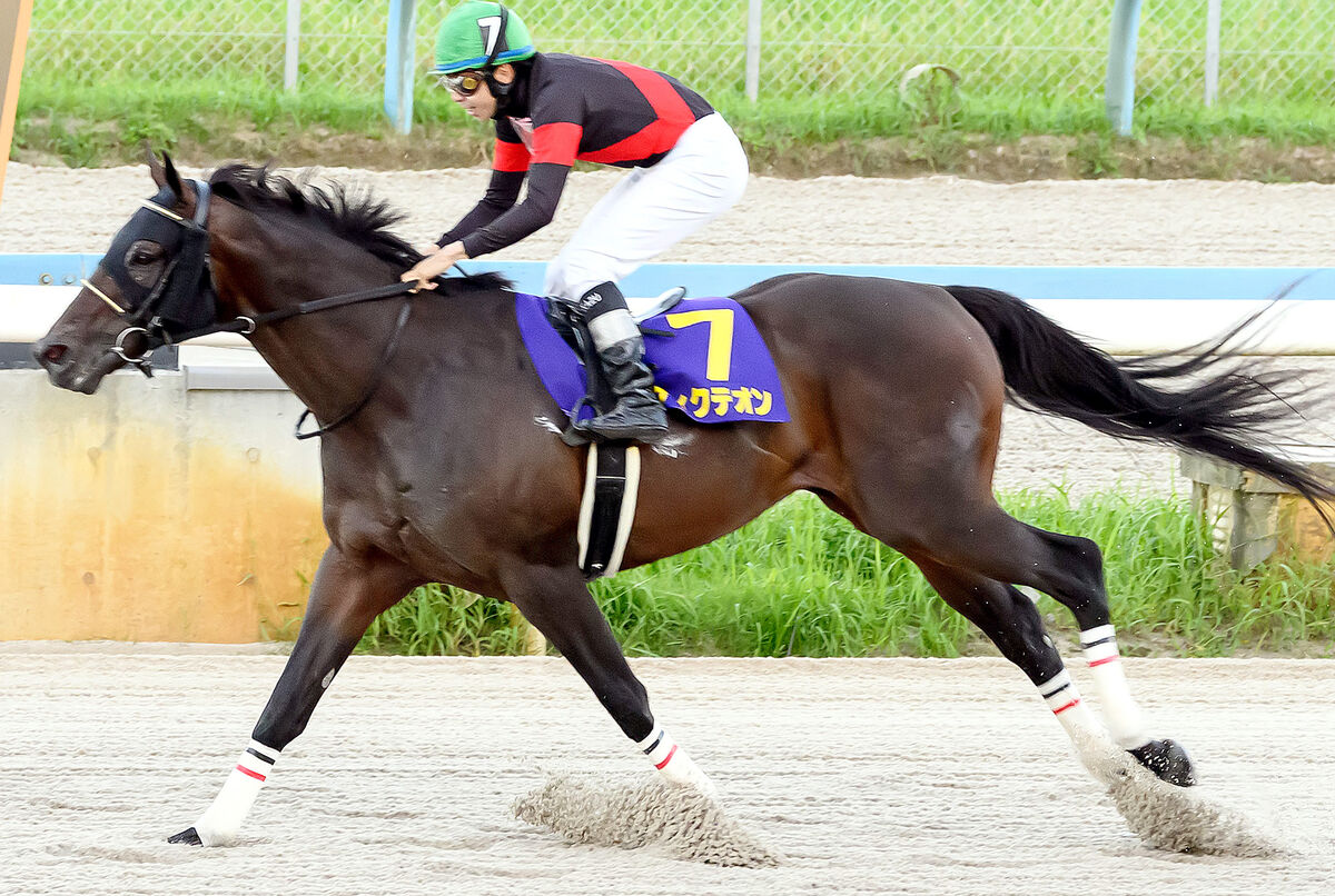 交流重賞３勝のディクテオンが競走馬登録抹消　大井競馬へ移籍