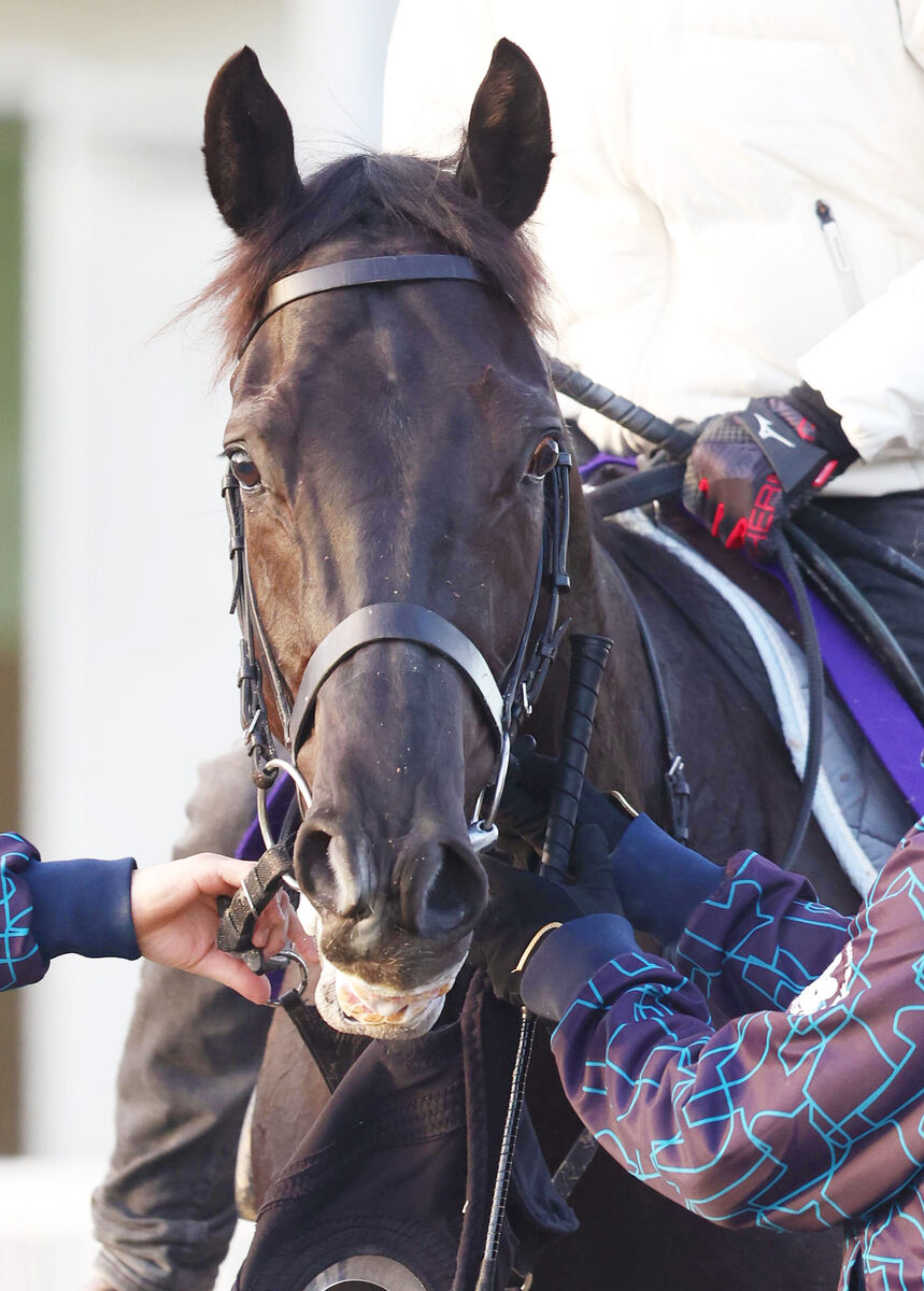 【注目馬動向】最優秀２歳牡馬のクロワデュノールは皐月賞へ直行　年明け初戦で勝てば２０２０年コントレイル以来