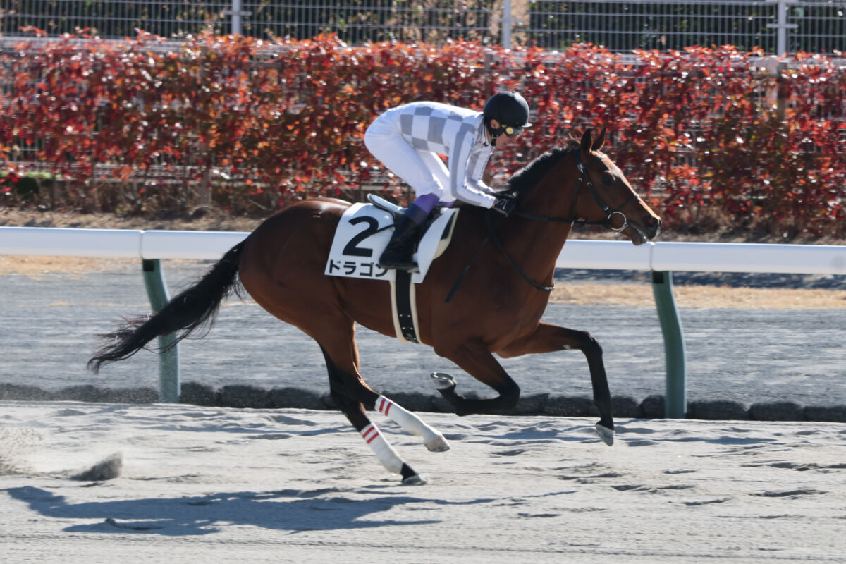 【中京２Ｒ・３歳未勝利】初ダートの２番人気ドラゴンが９馬身差の圧勝　武豊騎手「なかなか強かったですよ」