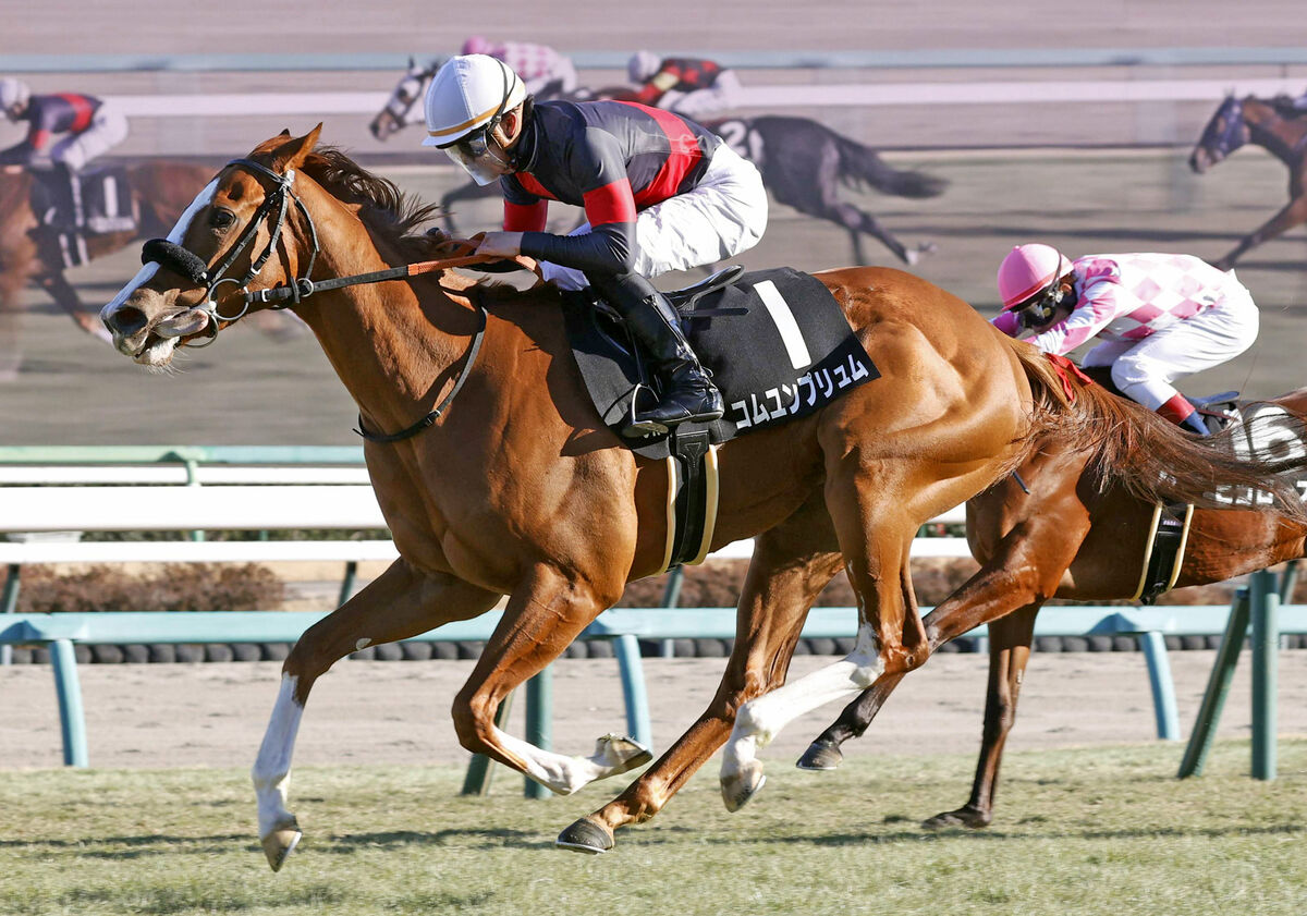 【中山９Ｒ・菜の花賞】コムユンプリュムがセンスのいい走りで連勝！　菅原明良騎手「すごく素直」