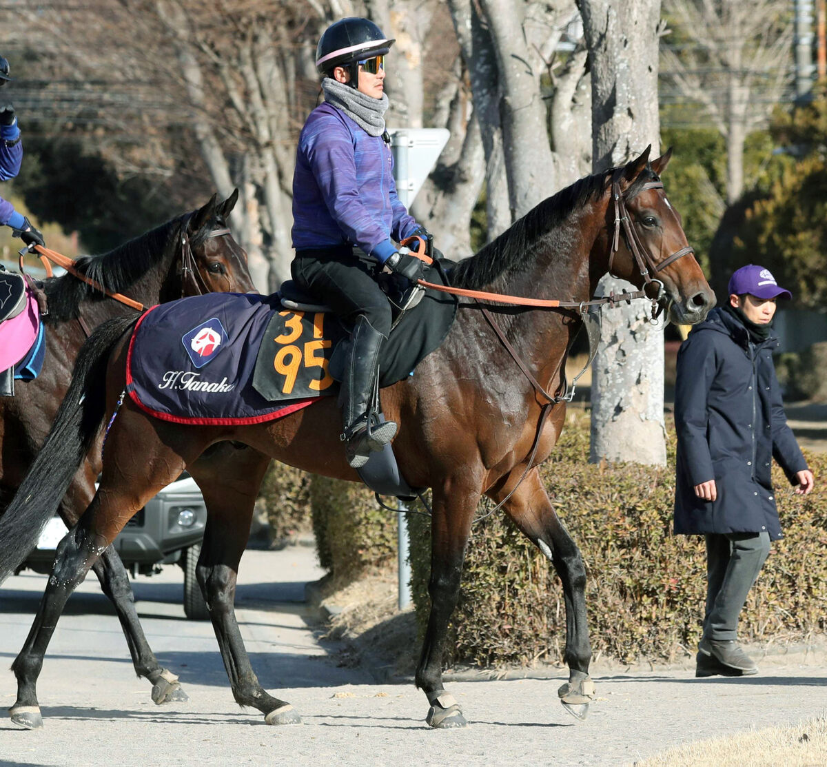 【京成杯】前日の単勝１番人気はキングノジョーの２・５倍で４頭が１０倍切る　キング騎手騎乗馬が離れた５番人気