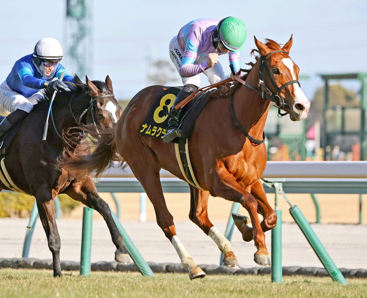 【紅梅Ｓ】重賞５勝ナムラクレアの妹が桜花賞へ賞金加算　「この１勝はすごく大きい」長谷川調教師も満面の笑み