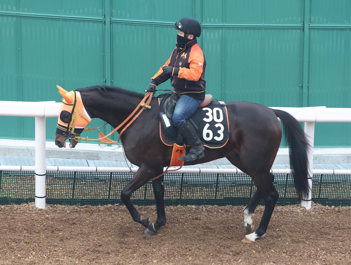 日曜中山競馬場メインレースの注目激走馬…中山１１Ｒ京成杯・Ｇ３