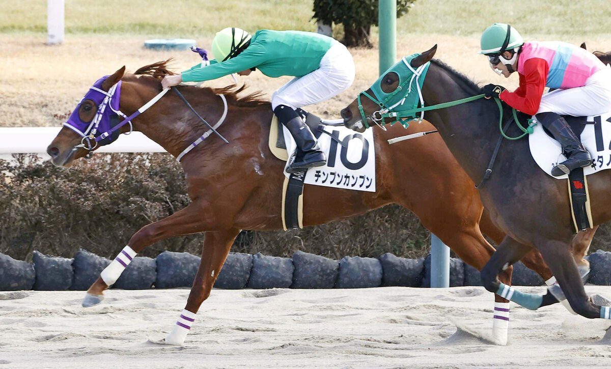 【中山３Ｒ・３歳未勝利】馬名の由来は「訳が分からないこと」　１番人気でチンプンカンプンが初勝利