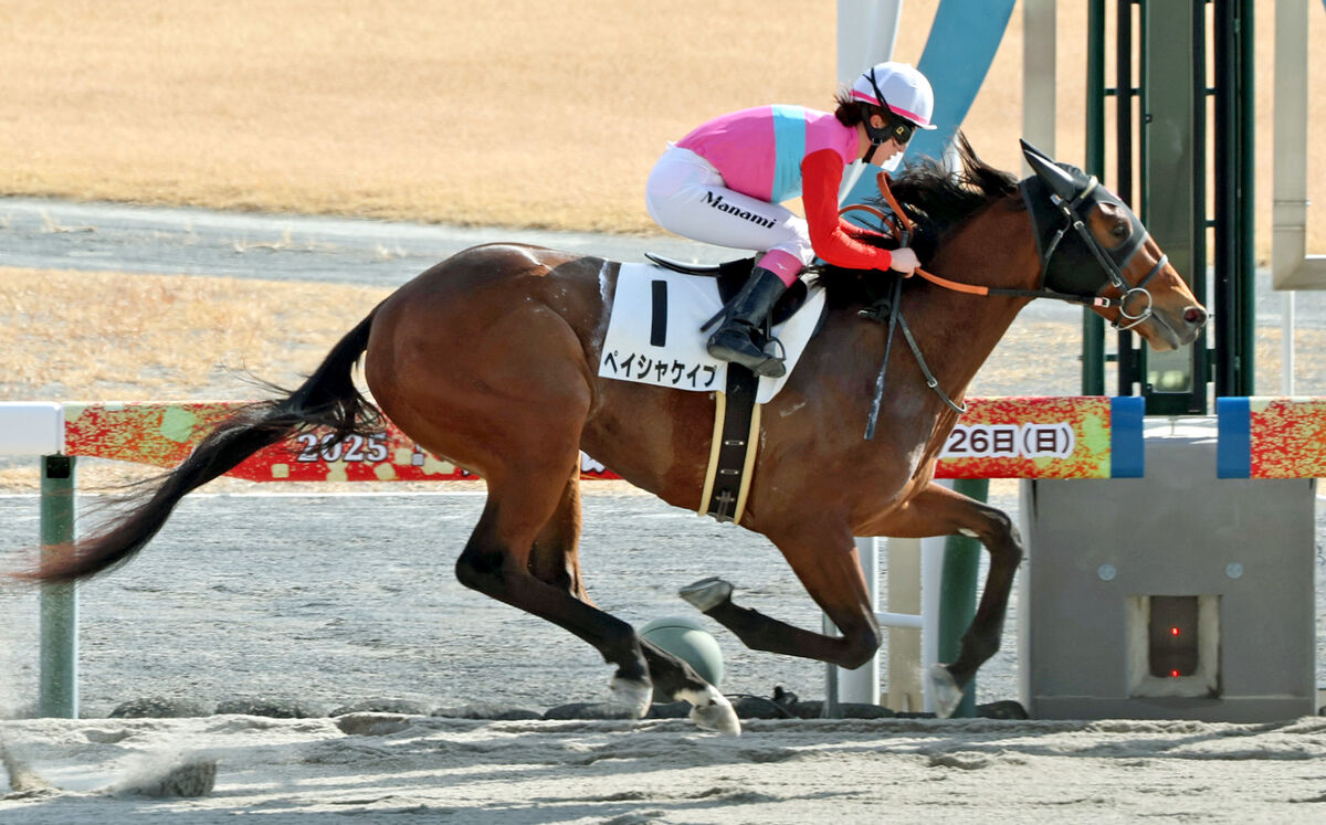 【中京６Ｒ・３歳１勝クラス】ペイシャケイプ末脚爆発　今年初勝利の永島まなみ騎手「脚を使ってくれると信じていました」