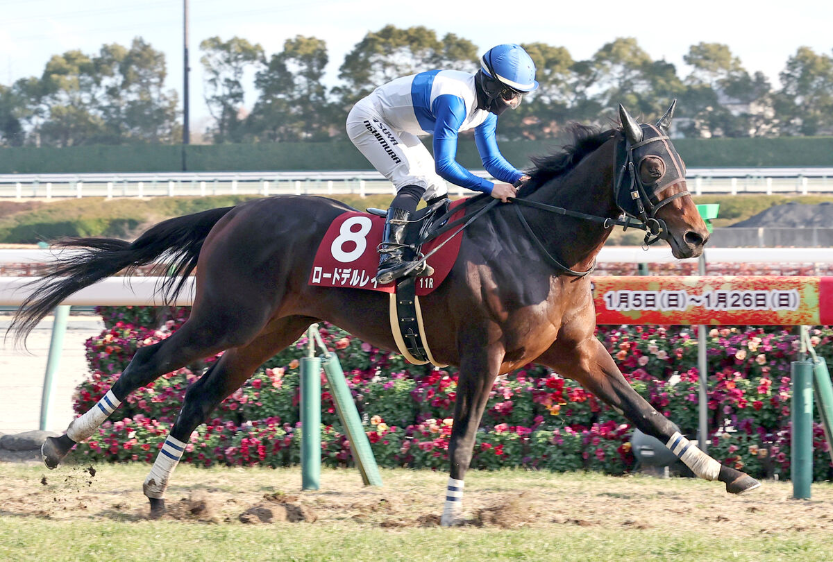 【日経新春杯】ロードデルレイが重賞初Ｖ　西村淳也騎手「瑠星先輩、将雅さんに教育されているのが分かりました」