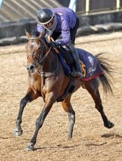 【京成杯】“３・１億円ホース”キングノジョーは４着　無傷２連勝での重賞初タイトルならず