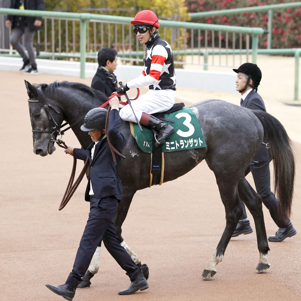 【京成杯】９番人気のミニトランザットが最後方から伸びて３着　田辺裕信騎手「やったかと思いましたが…」