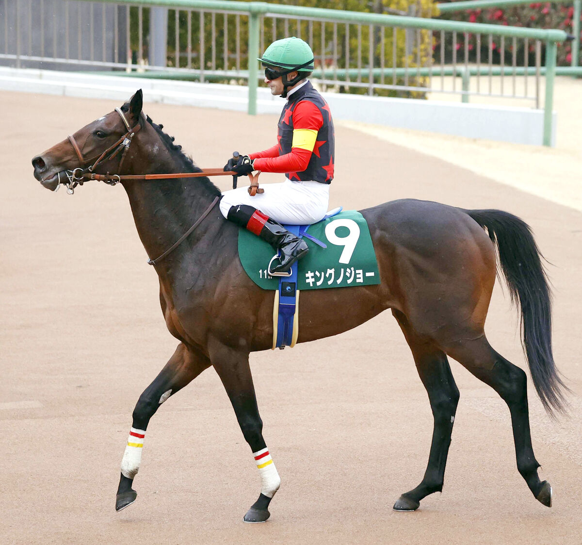 【京成杯】１番人気キングノジョーはゴール前で失速４着　ルメール騎手「坂を上ってから苦しくなった」