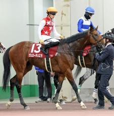 【日経新春杯】ヴェローチェエラ４着で４連勝＆重賞初Ｖならず　川田将雅騎手「今日できる精いっぱいの走り」