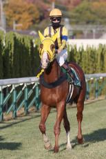 【アメリカＪＣＣ・山下の特注馬】長期休養明け２戦目でボルドグフーシュ復活へ　有馬記念２着の中山もプラス