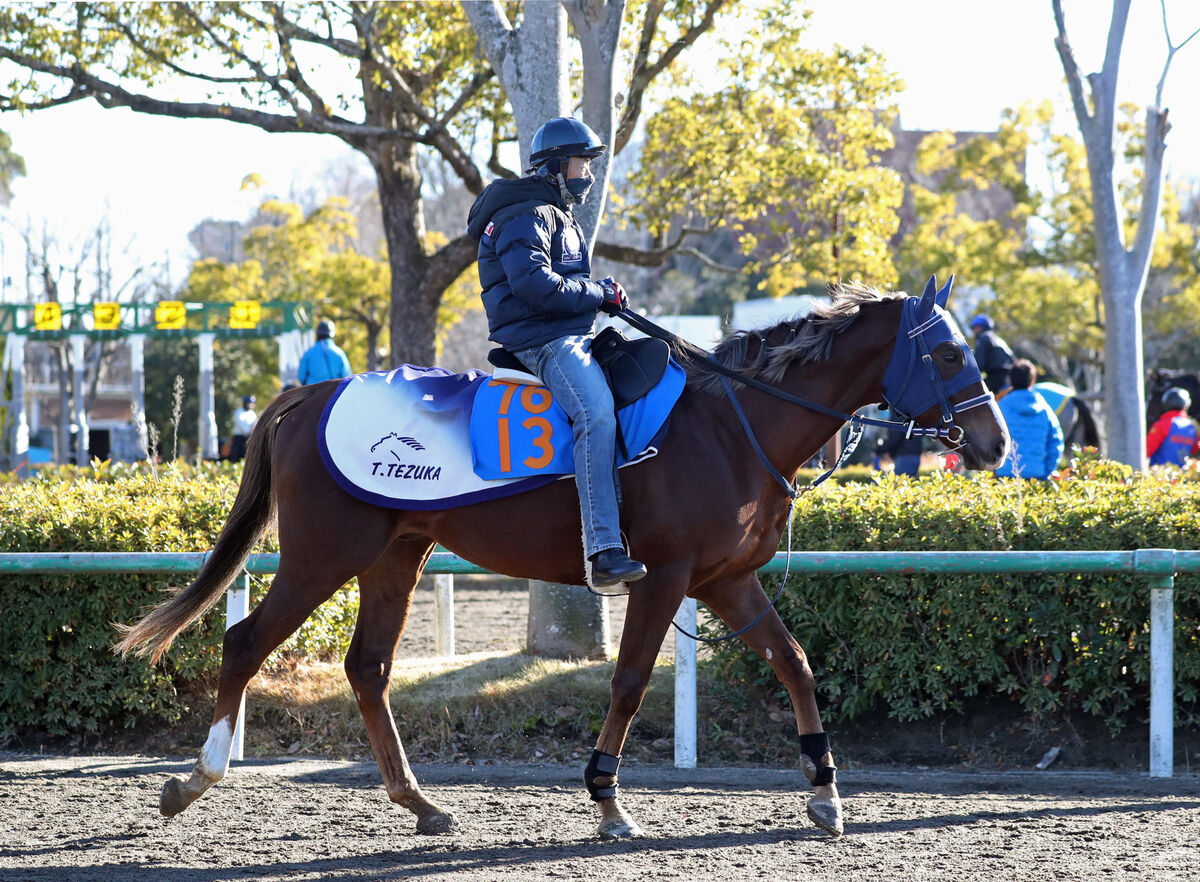 【アメリカＪＣＣ・坂本の特注馬】抽選突破なら怖いマイネルクリソーラ　立て直して復調ぶり顕著