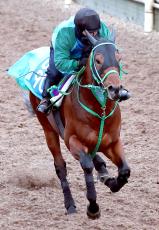 【プロキオンＳ・理貴の特注馬】カズペトシーンの末脚に期待　２戦２勝の得意舞台で重賞初Ｖへ